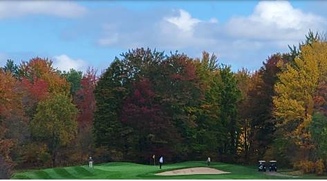 A golf course with trees in the background

Description automatically generated with low confidence